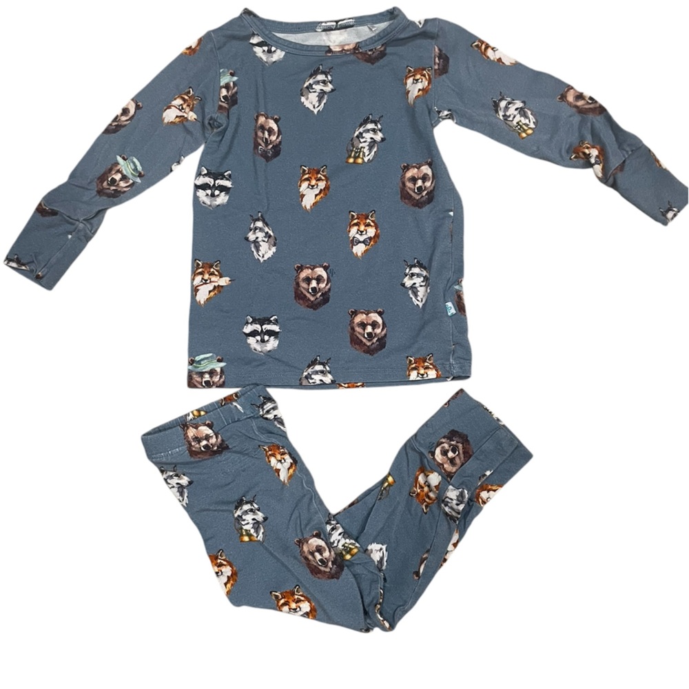 Posh Peanut kids pajama set in size 18-24 mon. Cute little forest animal print.